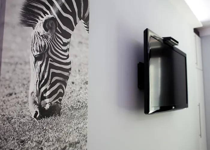 Angel Marco クラクフ